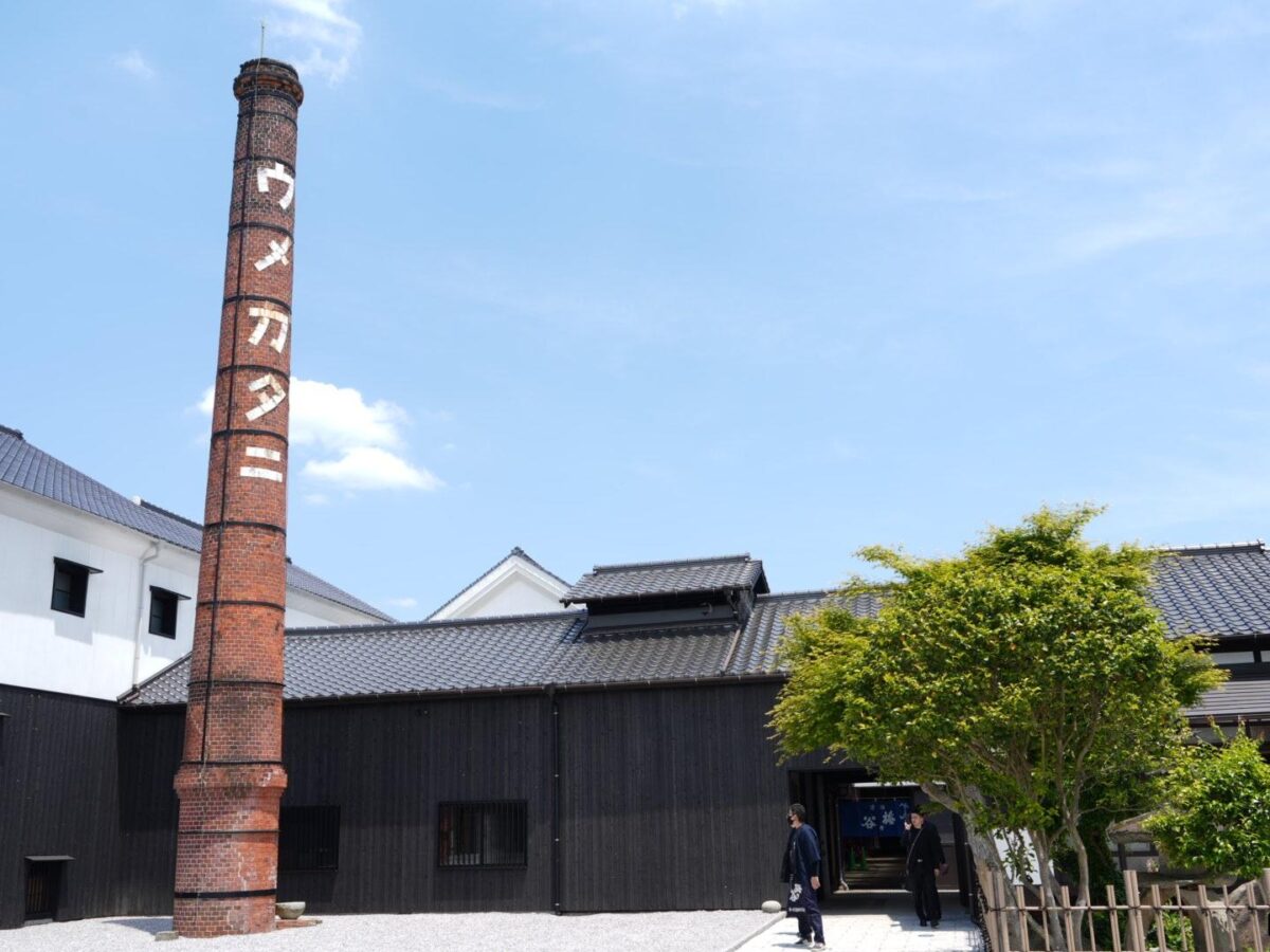 酒蔵に残る、百年の時間。嘉麻・梅ヶ谷酒造へ