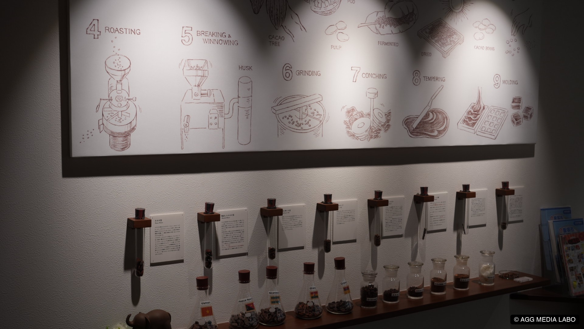 カカオ豆からチョコレートになる工程の展示