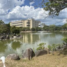 池と噴水、緑が広がる飯塚市の勝盛公園